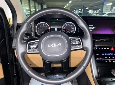 Kia Canival 2023, 57217 км, за 26990000 KRW - фото 8