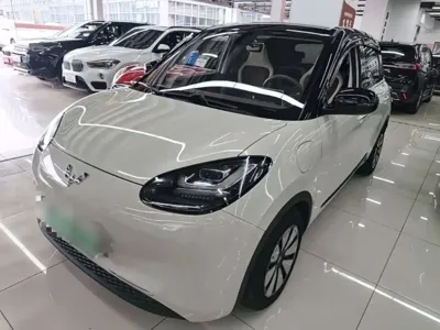 Wuling Bingo · 2024 год
