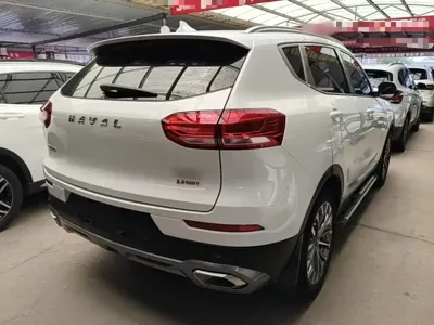 Haval H6 2020, 74300 км, за 46400 CNY - фото 7