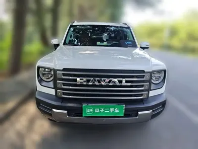 Haval Menglong New Energy · 2024 год