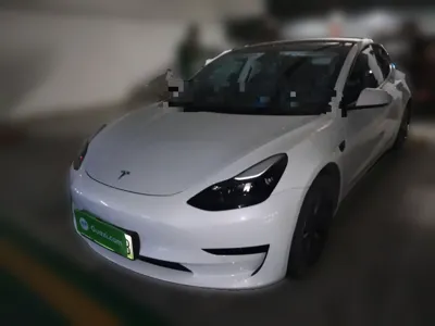 Tesla Model 3 · 2022 год