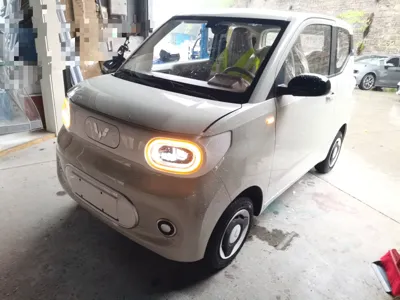 Wuling Hongguang MINIEV · 2024 год