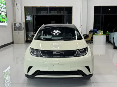 BYD Dolphin 2023, 50000 км, за 61800 CNY
