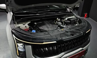 Kia Canival 2024, 83512 км, за 29800000 KRW - фото 6