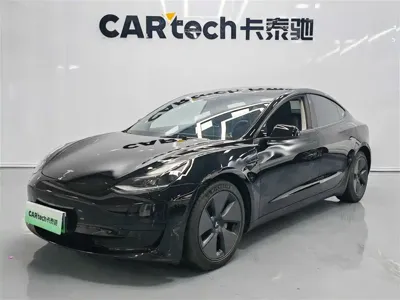 Tesla Model 3 · 2021 год