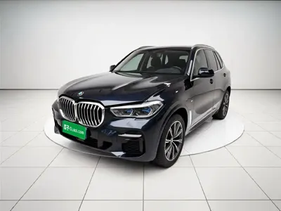 BMW X5 (Import) · 2022 год