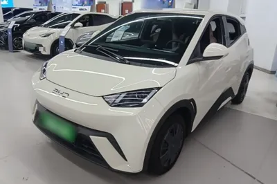 BYD Seagull · 2025 год