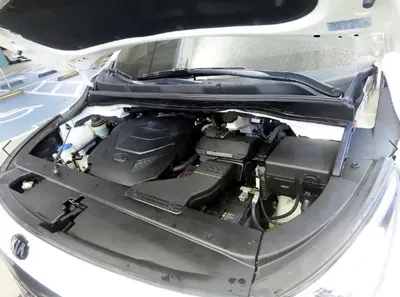 Kia Canival 2019, 55203 км, за 25000000 KRW - фото 19