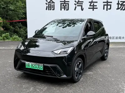 BYD Seagull · 2023 год