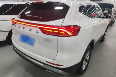 Haval H6 2021, 53400 км, за 69645.2 CNY - фото 6