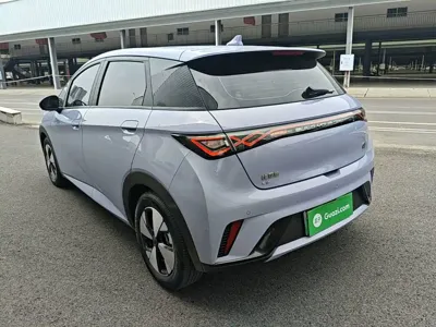 BYD Dolphin 2023, 76500 км, за 60400 CNY - фото 24