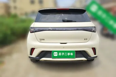 BYD Dolphin 2025, 89100 км, за 72908.22 CNY - фото 3