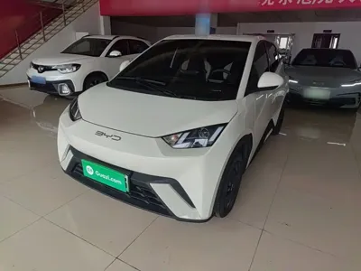 BYD Seagull · 2024 год