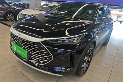 BYD Tang New Energy · 2025 год