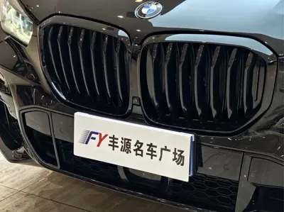 BMW X5 (Import) 2020, 70000 км, за 351800 CNY - фото 24