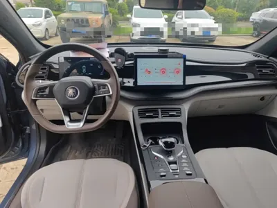 BYD Qin Plus 2024, 41400 км, за 52000 CNY - фото 10