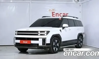 Hyundai Santafe · 2024 год