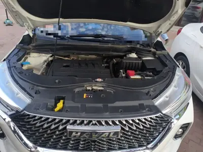 Haval M6 2022, 62100 км, за 54400 CNY - фото 11