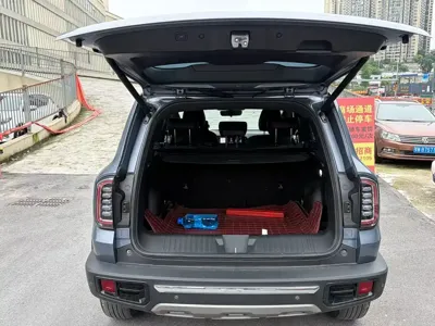 Haval Big Dog 2021, 54000 км, за 61800 CNY - фото 7