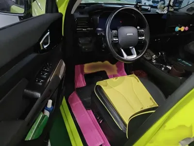 Haval Cool Dog 2023, 24400 км, за 76800 CNY - фото 14