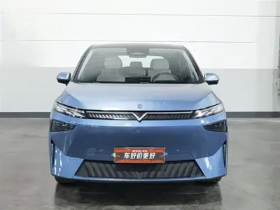 Venucia VX6 2023, 41700 км, за 69800 CNY