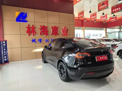 Tesla Model Y 2022, 72000 км, за 149800 CNY - фото 14