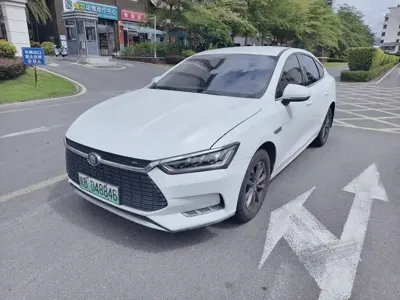 BYD Qin Pro NEV · 2020 год