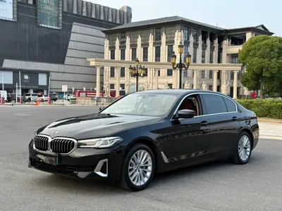 BMW 5 Series New Energy · 2020 год