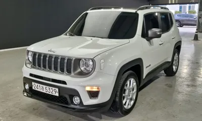 Jeep Renegade · 2019 год