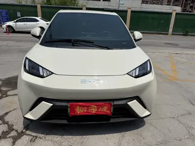 BYD Seagull · 2024 год