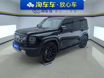 Haval Menglong New Energy · 2025 год