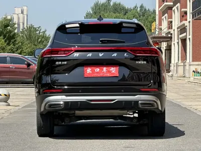 Haval H6 2023, 80000 км, за 63800 CNY - фото 7