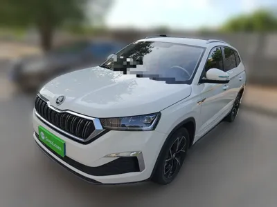 Skoda Kamiq · 2021 год