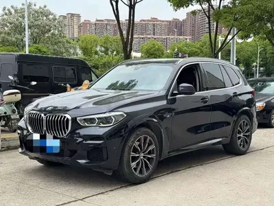 BMW X5 (Import) · 2022 год