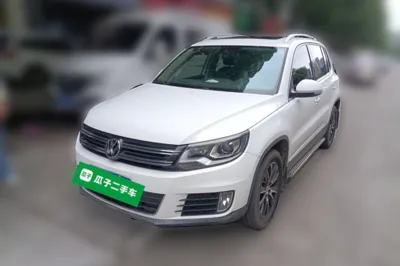 Volkswagen Tiguan · 2015 год