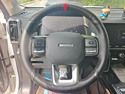 Haval Big Dog 2022, 47400 км, за 72000 CNY - фото 14