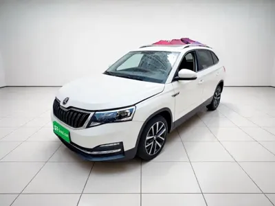 Skoda Kamiq 2019, 99300 км, за 39500 CNY - фото 25