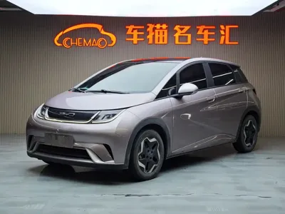 BYD Dolphin · 2022 год