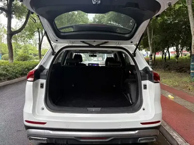 Haval H6 2024, 70000 км, за 57800 CNY - фото 8