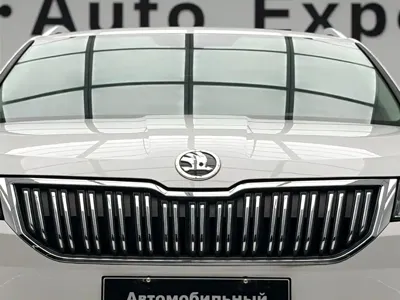 Skoda Karoq 2019, 39000 км, за 78800 CNY - фото 5