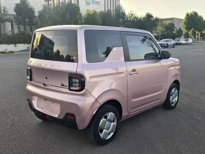 Galaxy Panda 2023, 23000 км, за 24800 CNY - фото 6