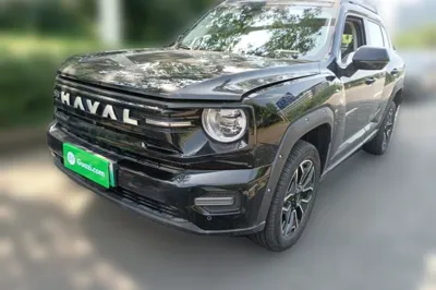 Haval H Dog New Energy · 2026 год