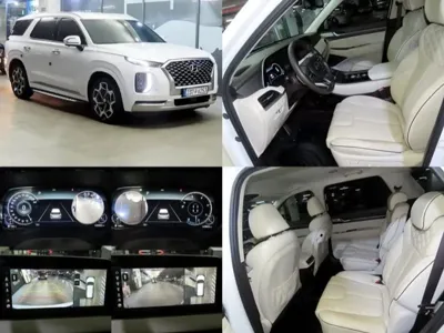 Hyundai Palisade · 2022 год