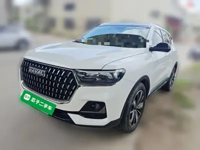 Haval H6 · 2024 год