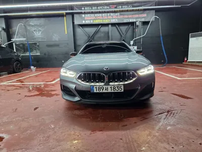 BMW 8-Series · 2023 год