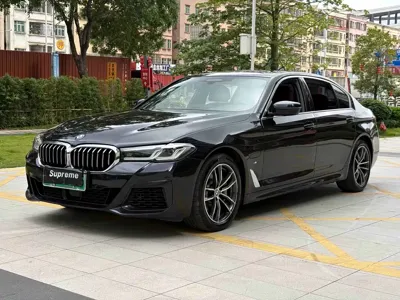 BMW 5 Series New Energy · 2021 год