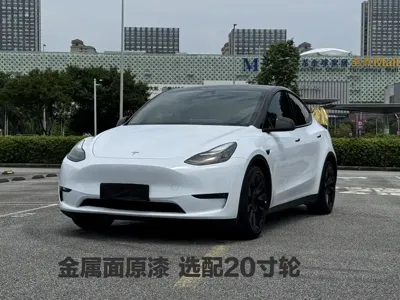 Tesla Model Y · 2021 год