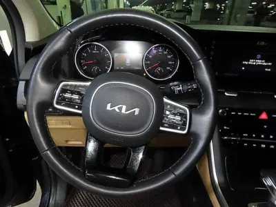 Kia Canival 2023, 79588 км, за 23990000 KRW - фото 8