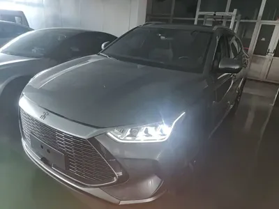 BYD PLUS New Energy · 2021 год