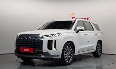 Hyundai Palisade · 2023 год